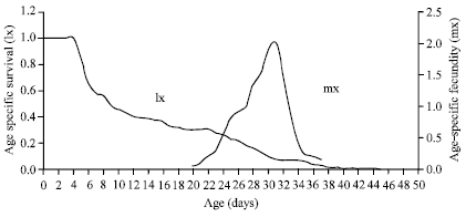 Image for - Life Table and Demographic Parameters of Asian Citrus Psyllid Diaphorina citri on Limau Madu Citrus suhuiensis