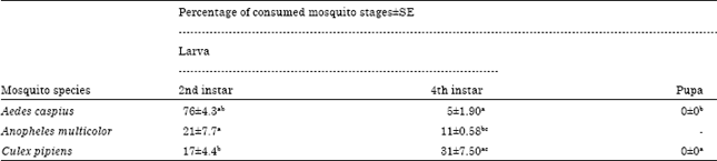 Image for - Predation Capacity of Culiseta longiareolata Mosquito Larvae against Some Mosquitoes Species Larvae