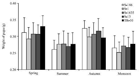 Image for - Effect of Different Mulberry Varieties and Seasons on Growth and Economic  Traits of Bivoltine Silkworm (Bombyx mori)