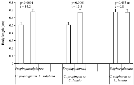 Image for - Functional Responses of Cheilomenes propingua, C. lunata and C. sulphurea (Coleoptera: Coccinellidae) to Predation on Aphis gossypii (Homoptera: Aphididae) in Eastern Tanzania