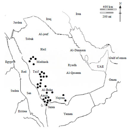Image for - Population Structure of the Yemeni Honey Bee (Apis mellifera jemenitica) Entails an Urgent Conservation Strategy in Saudi Arabia