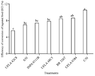 Image for - Behavior of Callosobruchus maculatus Populations Fed with Vigna  unguiculata Grain Cultivated with Diazotrophic Bacteria Strains