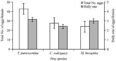 Image for - Influence of Prey Types on the Biological Characteristics of Cosmolaelaps qassimensis (Acarai: Laelapidae)