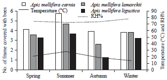 Image for - Impact of Arid Land Conditions on Biological Activities of
Honeybee Colonies