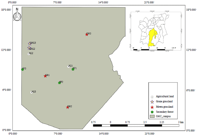 Image for - Alpha and Beta Diversity of Flower-visiting Insects in Different Land Use Types