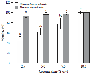 Image for - Repellent and Insecticidal Activities of the Root Extracts of Chromolaena odorata and Mimosa diplotricha Against Macrotermes Species