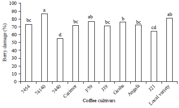 Image for - Evaluation of Coffee Cultivars to Coffee Berry Borer (Hypothenemus hampei (Ferrari)) Infestation in Southwestern Ethiopia