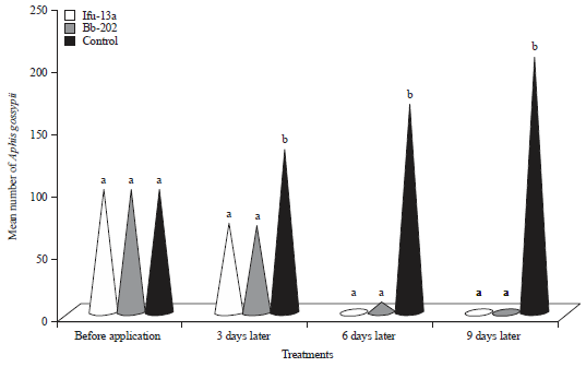 Image for - Field Bioassay Assessment of Entomopathogenic Fungi on Aphis gossypii (Glover)