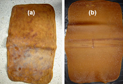 Image for - Utilization of Wood Vinegars as Sustainable Coagulating and Antifungal Agents in the Production of Natural Rubber Sheets