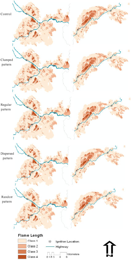 Image for - Effects of Arranging Forest Fuel Reduction Treatments in Spatial Patterns on Hypothetical, Simulated, Human-Caused Wildfires