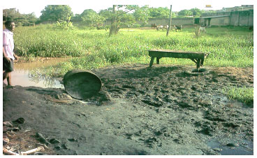 Image for - An Assessment of the Impact of Abattoir Effluents on River Illo, Ota, Nigeria