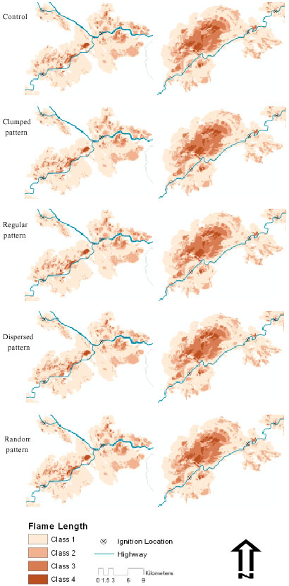 Image for - Effects of Arranging Forest Fuel Reduction Treatments in Spatial Patterns on Hypothetical, Simulated, Human-Caused Wildfires