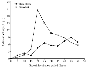 Image for - Lignocellulolytic Enzymes and Substrate Utilization During Growth and Fruiting of Pleurotus ostreatus on Some Solid Wastes