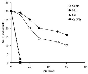 Image for - Effect of Molybdenum, Chrome and Cadmium Ions on Metamorphosis and Erythrocytes Morphology of the Marsh Frog Pelophylax ridibundus (Amphibia: Anura)