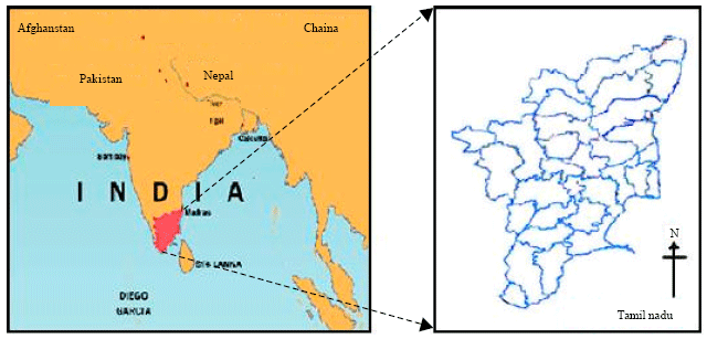 Image for - Novel Approach of Geographic Information Systems on Recent Out-Breaks of Chikungunya in Tamil Nadu, India