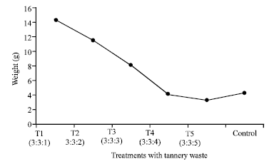 Image for - Management of Tannery Waste: Its Use as Planting Medium for Chrysanthemum Plants