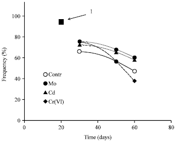 Image for - Effect of Molybdenum, Chrome and Cadmium Ions on Metamorphosis and Erythrocytes Morphology of the Marsh Frog Pelophylax ridibundus (Amphibia: Anura)