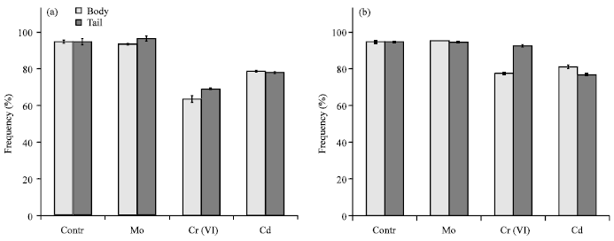 Image for - Effect of Molybdenum, Chrome and Cadmium Ions on Metamorphosis and Erythrocytes Morphology of the Marsh Frog Pelophylax ridibundus (Amphibia: Anura)