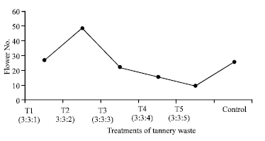Image for - Management of Tannery Waste: Its Use as Planting Medium for Chrysanthemum Plants