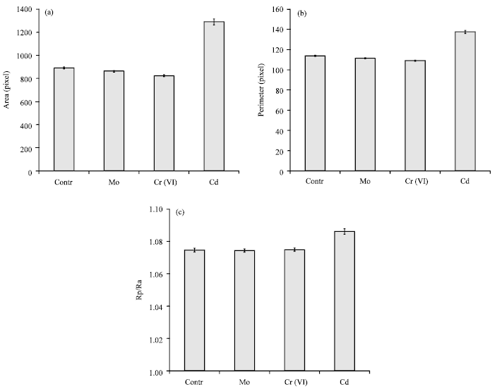 Image for - Effect of Molybdenum, Chrome and Cadmium Ions on Metamorphosis and Erythrocytes Morphology of the Marsh Frog Pelophylax ridibundus (Amphibia: Anura)