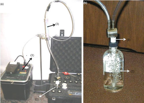 Image for - Measurement of Radon Concentrations and Their Annual Effective Dose Exposure in Groundwater from Qassim Area, Saudi Arabia