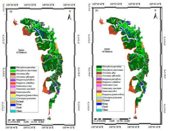 Image for - Applicability of RapidEye Satellite Imagery in Mapping Mangrove Vegetation Species at Matang Mangrove Forest Reserve, Perak, Malaysia