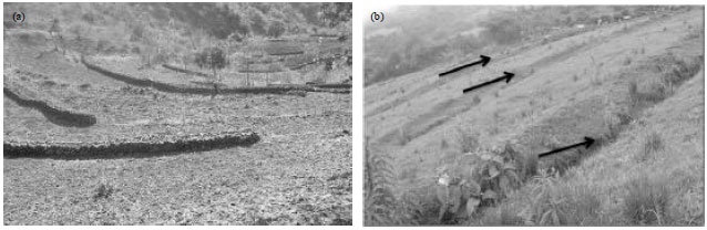 Image for - Effect of Soil and Water Conservation Measures and Challenges for its Adoption: Ethiopia in Focus