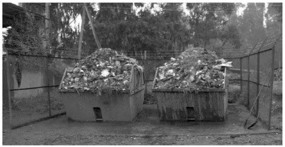Image for - Assessment of the Contemporary Municipal Solid Waste Management in Urban Environment: The Case of Addis Ababa, Ethiopia