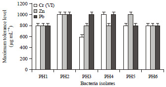 Image for - Bioreduction of Cr (VI) by Heavy Metal Resistant Pseudomonas Species