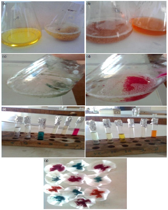 Image for - Decolorization of Different Textile Dyes by Isolated Aspergillus niger