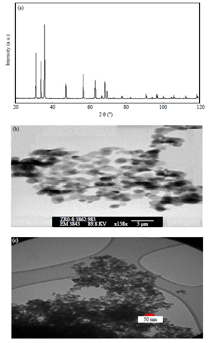 Image for - Investigation of Zinc Oxide Nanoparticles Effects on Removal of Total Coliform Bacteria in Activated Sludge Process Effluent of Municipal Wastewater