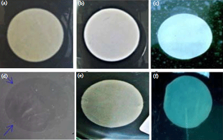 Image for - Characteristics, Biofouling Properties and Filtration Performance of Cellulose/Chitosan Membranes