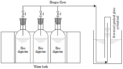 Biogas production through anaerobic co-digestion of rice husk and