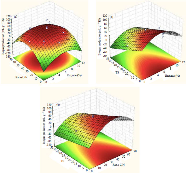 Biogas production through anaerobic co-digestion of rice husk and