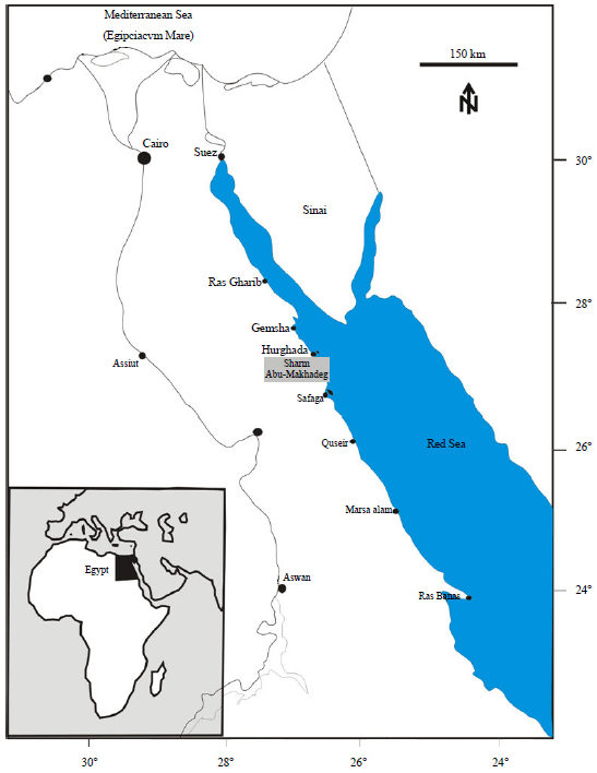 Image for - Observation of Changes in Sediment Nature by Environmental Impacts of Abu-Makhadeg Area, Red Sea, Egypt