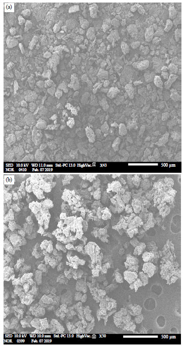 Image for - Adsorption of Aniline Blue from Aqueous Solution Using Litchi chinensis Peel: Kinetic and Equilibrium Studies
