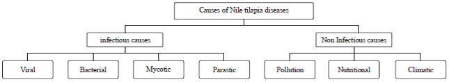 Image for - Diseases of Nile Tilapia with Special Emphasis on Water Pollution