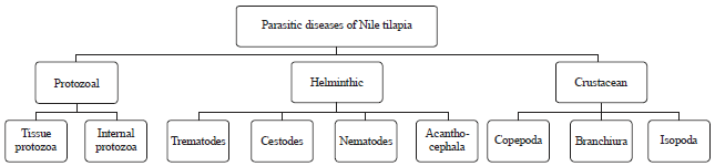 Image for - Diseases of Nile Tilapia with Special Emphasis on Water Pollution