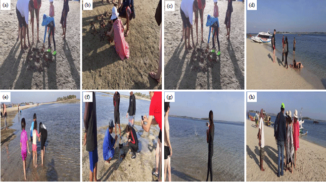 Image for - Ecotourism Development Based on the Diversity of Echinoderms Species in Seagrass Beds on the South Coastal of Lombok Island, Indonesia