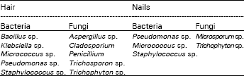 Image for - Arsenic, Lead and Microorganisms in Hair and Nails of Some Women from Saudi Arabia
