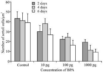 Image for - Effects of Bisphenol-A on Testes in Prepubertal Male Wistar Rats: In vitro  Study