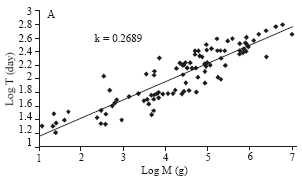 Image for - Prognosis of Prolongation and Reduction of Human Pregnancy Duration, Using Alometric Relation Between Length of Pregnancy, Body Mass and Metabolism of Mammals