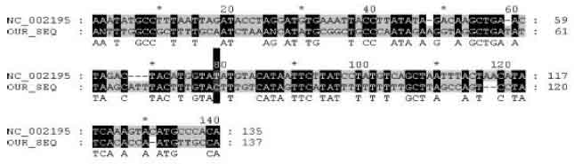 Image for - Sequence Heterogeneity of TT Virus
