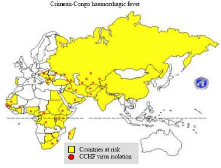 Image for - A Review on Crimean-Congo Haemorrhagic Fever in Asia