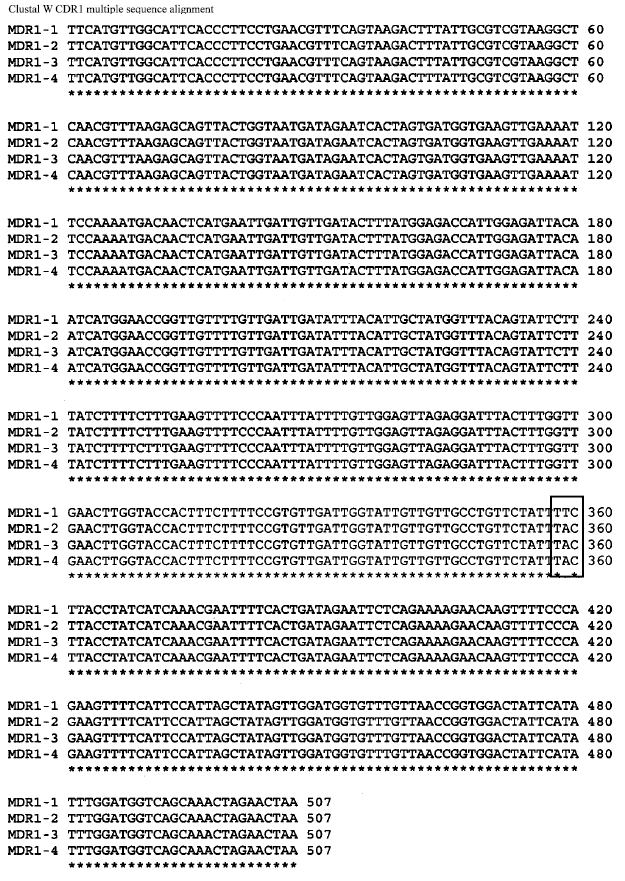 Image for - Transcriptional and Sequencing Analysis of CtCDR1, CtMDR1 and CtERG11 Genes in Fluconazole-Resistant Candida tropicalis Isolates from Candidemia Patients