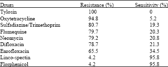 Image for - Prevalence of Bacterial Resistance to Commonly Used Antimicrobials among Escherichia coli Isolated from Chickens in Kerman Province of Iran