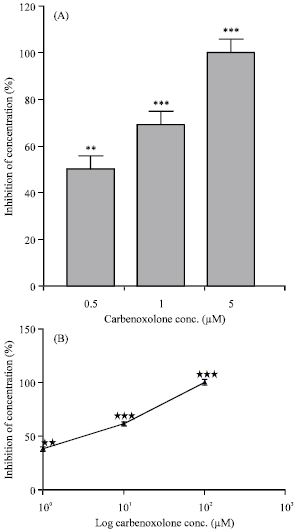 Image for - The Effects of Carbenoxolone on the Contractile Responses of the Isolated Guinea-Pig and Rat Smooth Muscles