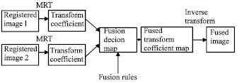 Image for - Medical Image Fusion Transforms-2D Approach