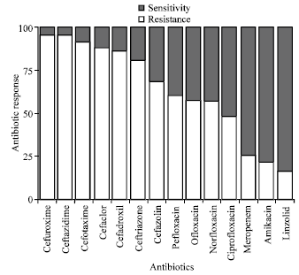 Image for - Prevalence, Profile and Antibiotic Susceptibility Pattern of Bacterial Isolates from Blood