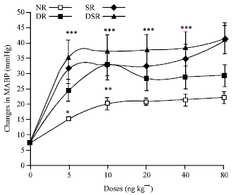 Image for - Cardiovascular Response to Angiotensin II and Captopril in Normal and Diabetic Rats Loaded with Salt